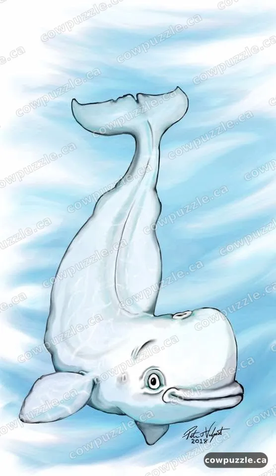 Beluga