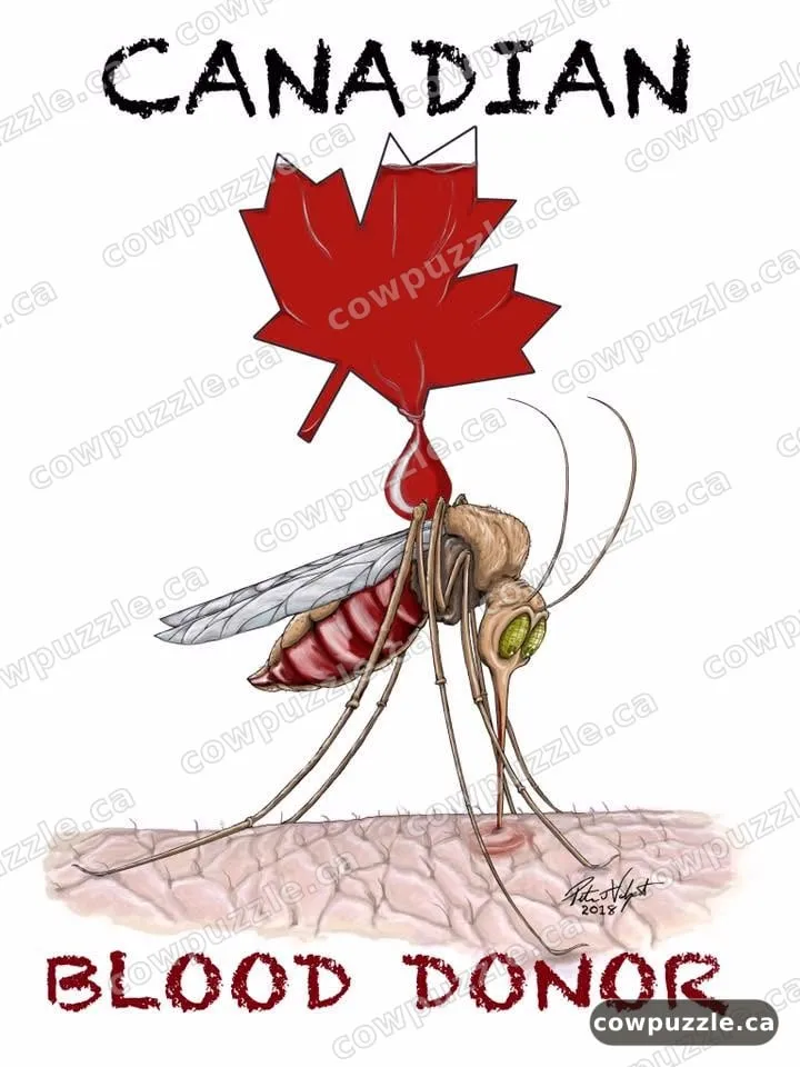 Canadian Blood Donor — Giving back, one maple leaf at a time.