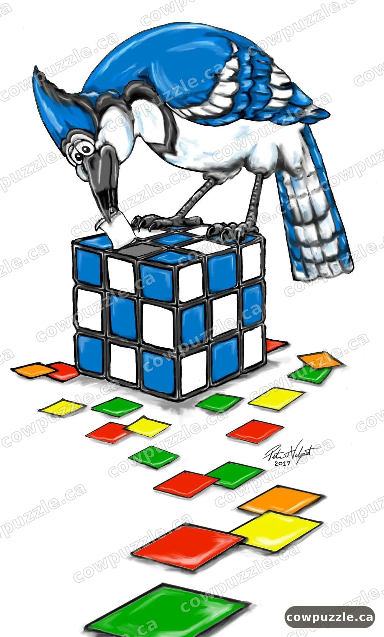 Blue Jay & the Cube