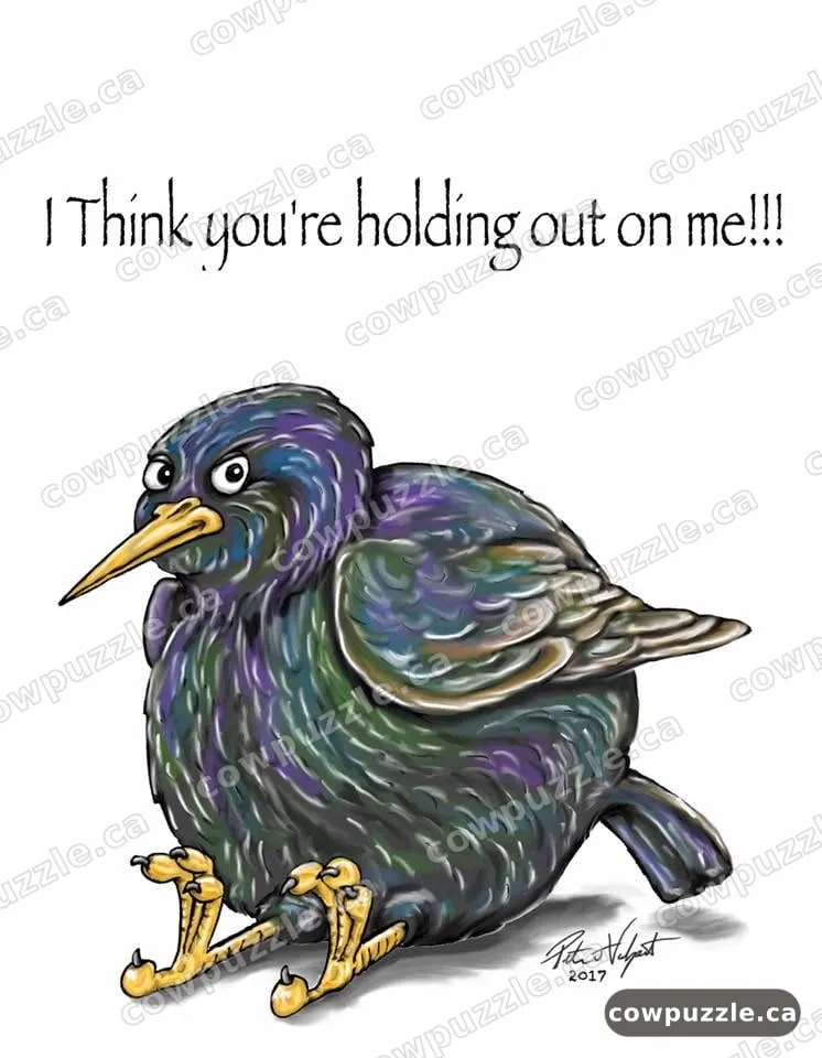 Holding Out — A starling is fairly sure you’re holding out on him.