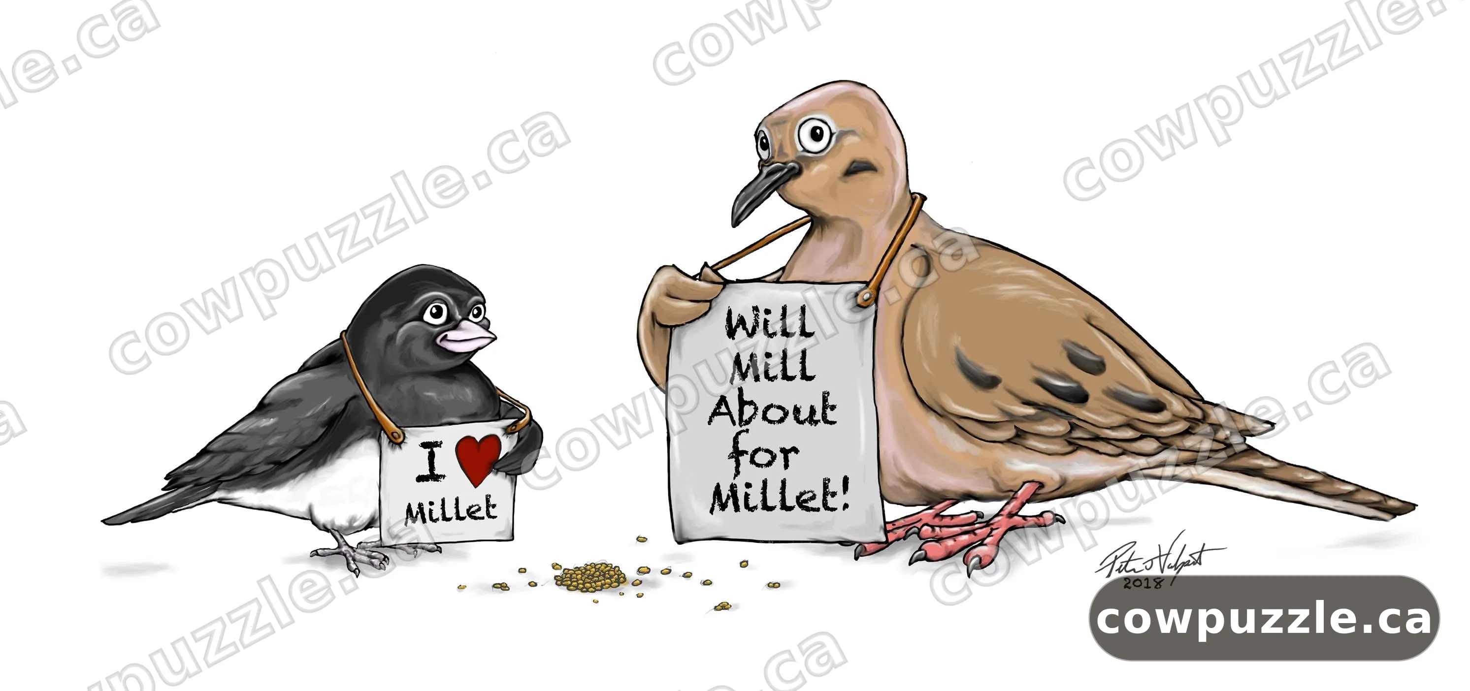 Will Mill About for Millet — A junco and a mourning dove make their position clear.
