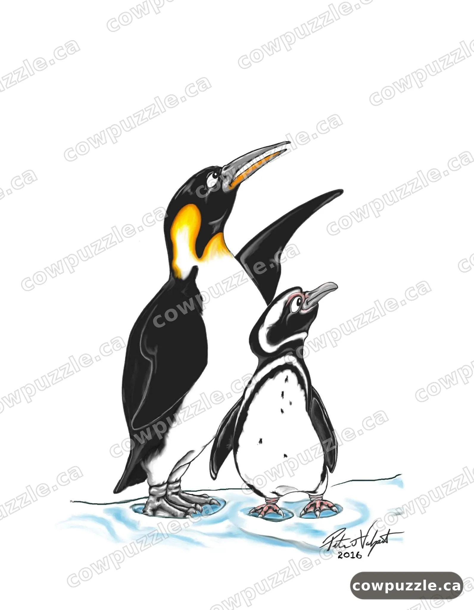 Take a Gander — A king penguin and one small, determined buddy.