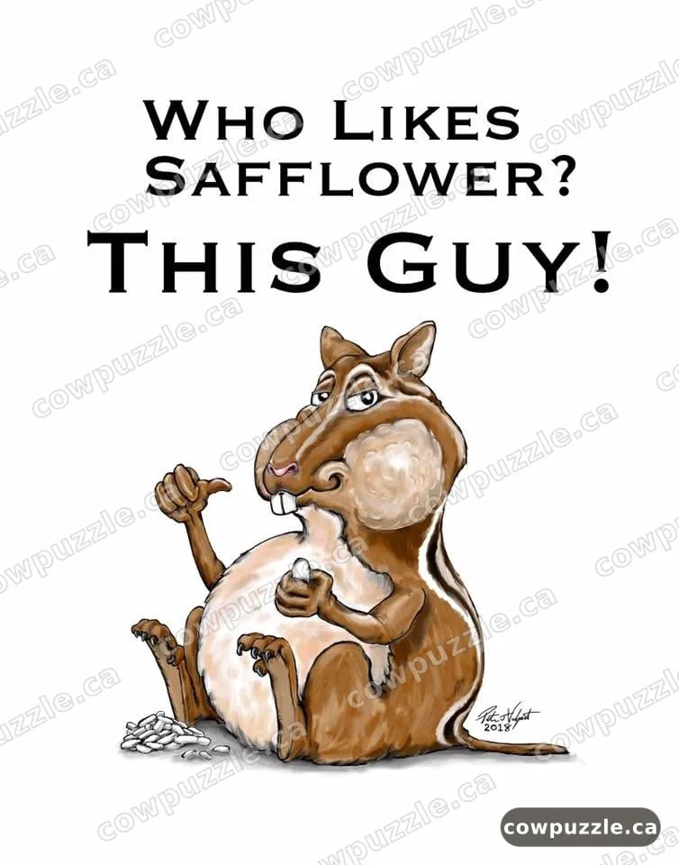 This Guy! — Who likes safflower? This guy.